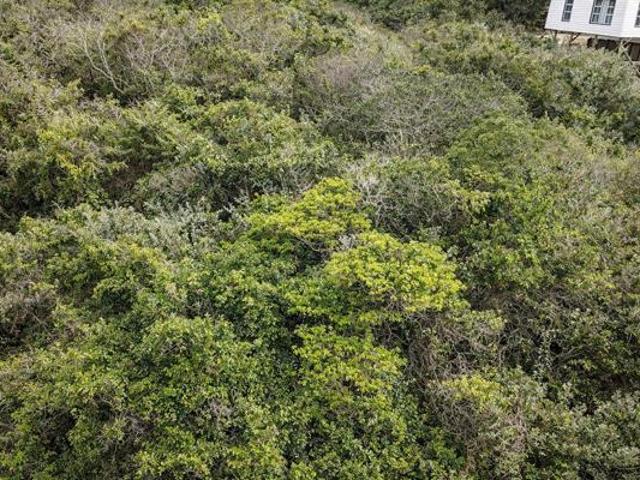 Land for sale in Bushmans River Mouth, Eastern Cape