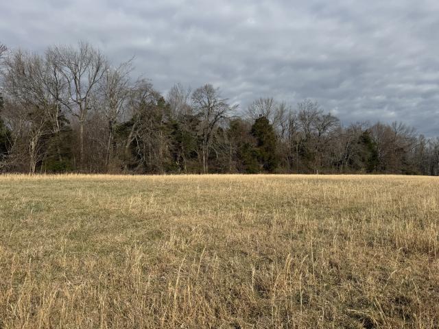 Land for sale in Tennessee