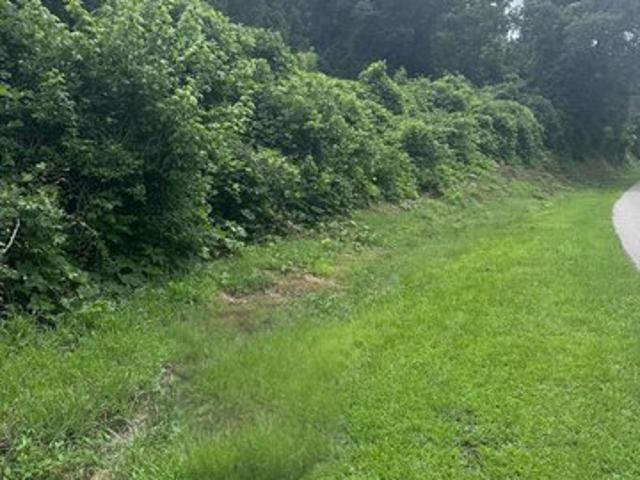 Land for sale in Fultondale, Alabama