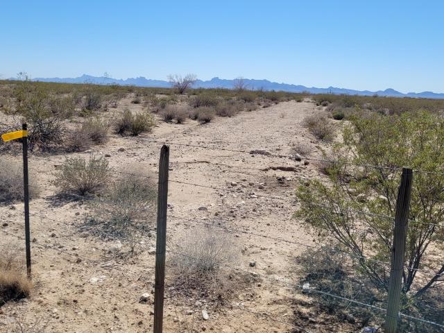 Land for sale in Salome, Arizona