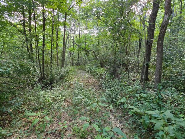 Land for sale in Corning, Ohio