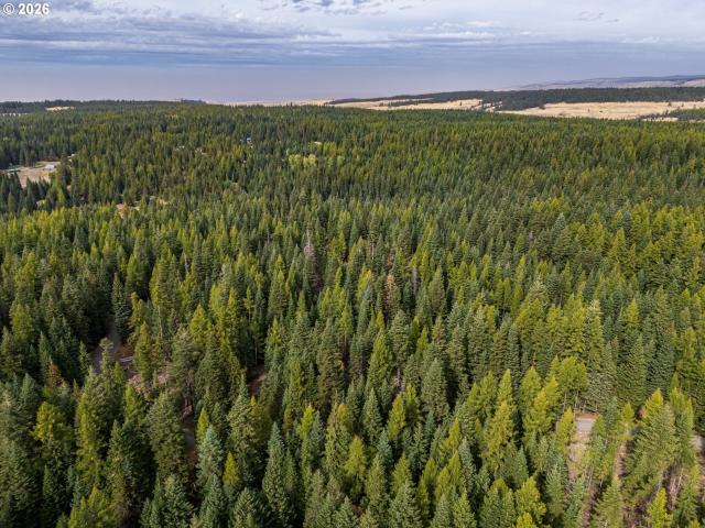 Land for sale in Weston, Umatilla County