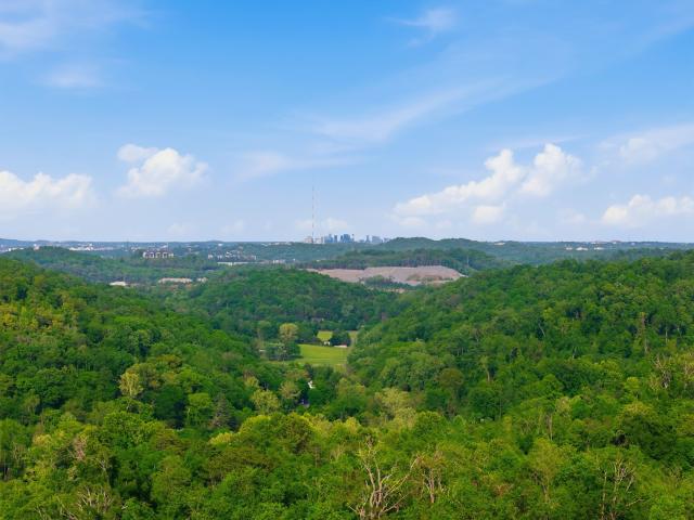 Land for sale in Tennessee