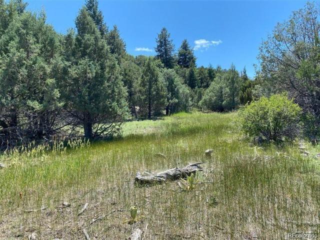 Land for sale in Colorado