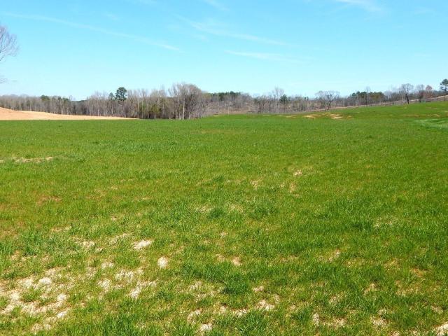 Land for sale in Grenada, Mississippi