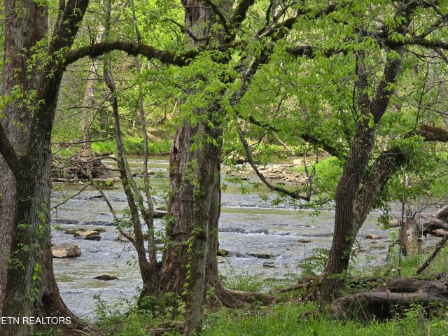 Land for sale in Thorn Hill, Tennessee