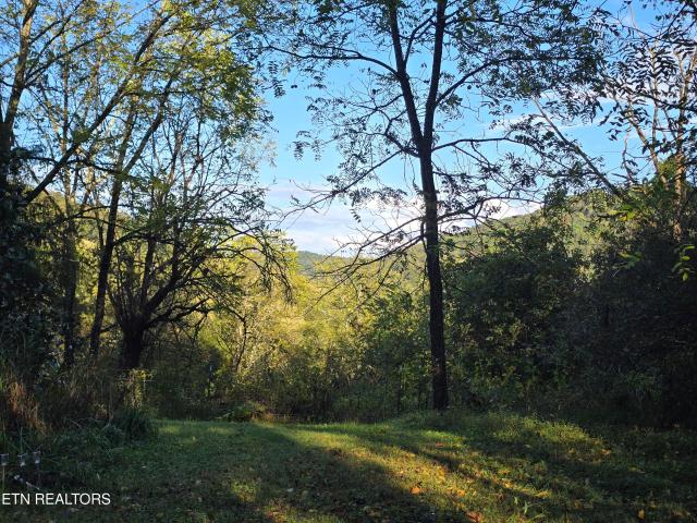 House for sale in Thorn Hill, Tennessee