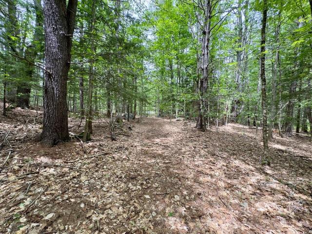 Land for sale in New Hampshire