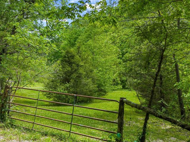 Land for sale in Flat Rock, Alabama