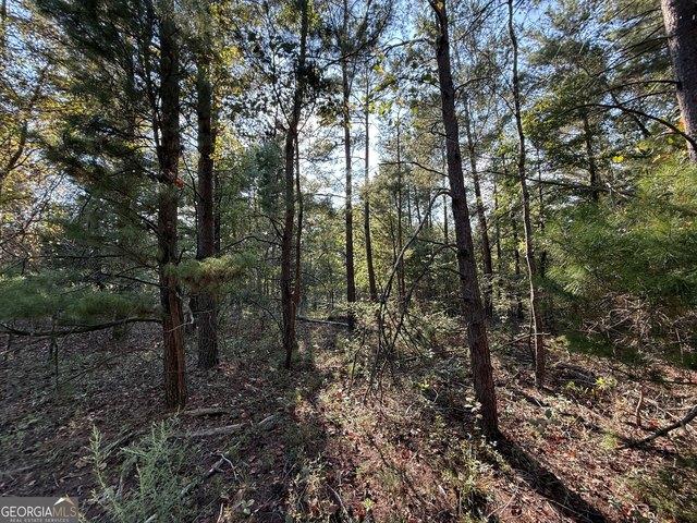 Land for sale in Warm Springs, Georgia