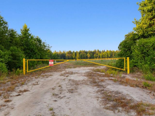 Land for sale in Johnsonville, South Carolina