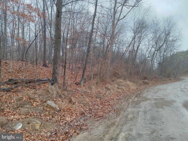 Land for sale in West Virginia