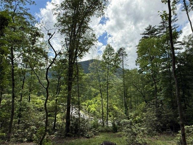 House for sale in Highlands, North Carolina