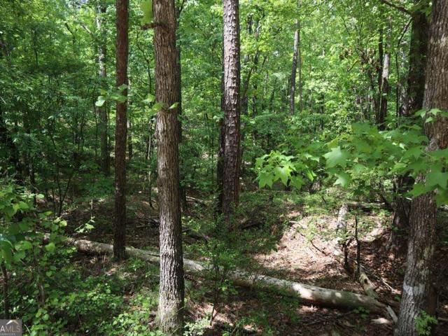 Land for sale in Baldwin, Georgia