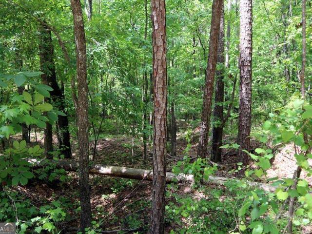 Land for sale in Baldwin, Georgia
