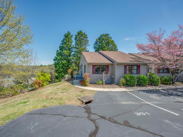 Property for sale in Tryon, North Carolina