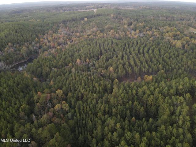 Land for sale in Mize, Mississippi