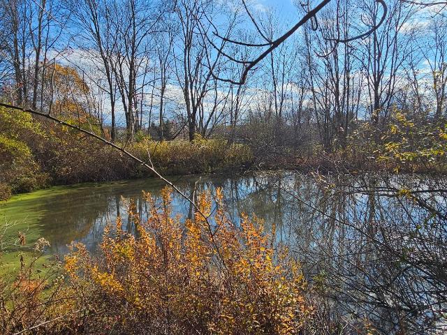 Land for sale in Equinunk, Pennsylvania