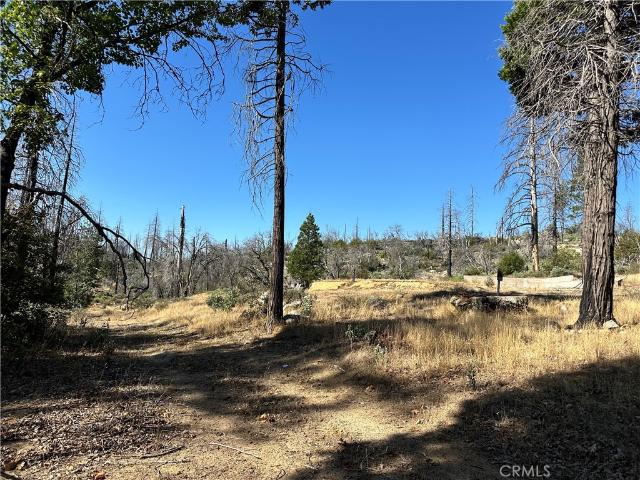 Land for sale in Berry Creek, Butte County