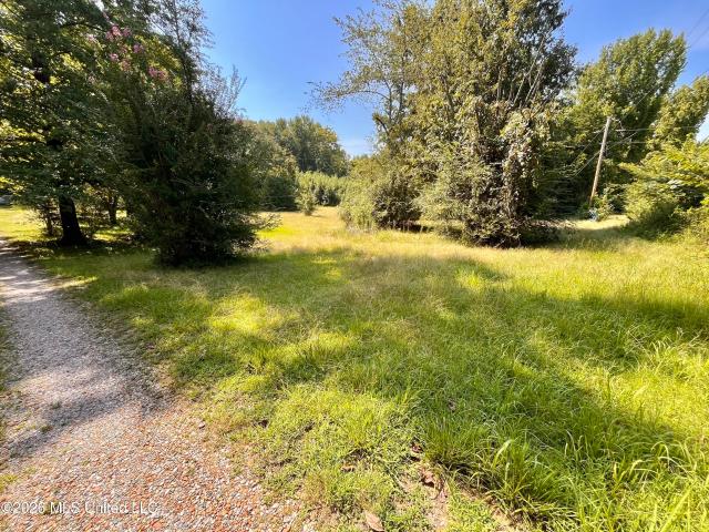 Land for sale in Byhalia, Marshall County