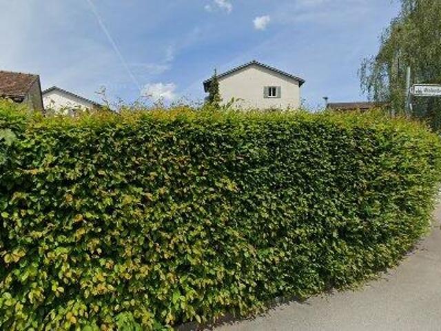 Apartment mieten in Schwarzenbach (SG), St. Gallen