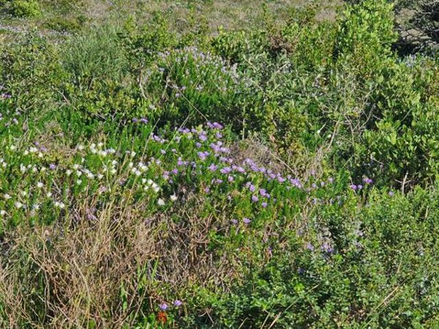 Land for sale in Western Cape