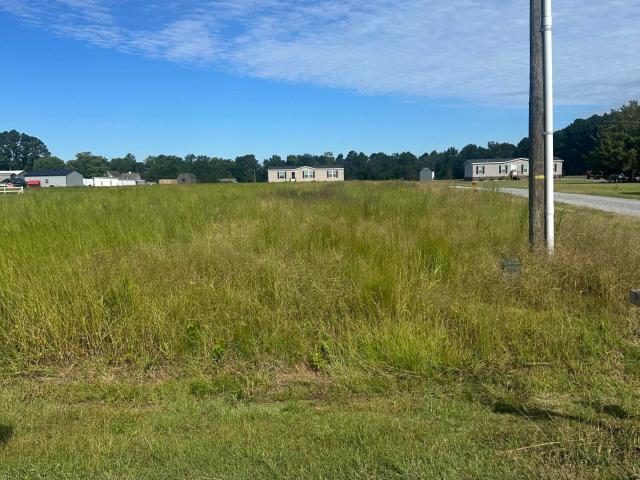 Land for sale in Princeton, Johnston County