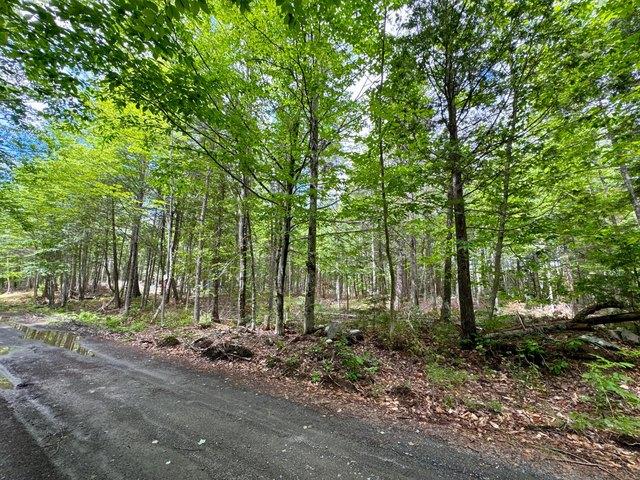 Land for sale in Guilford, Maine