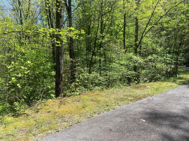 Land for sale in Cullowhee, North Carolina