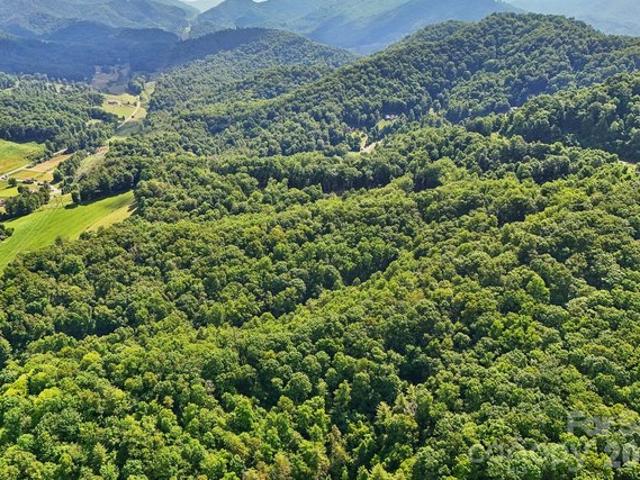 Land for sale in Mars Hill, North Carolina
