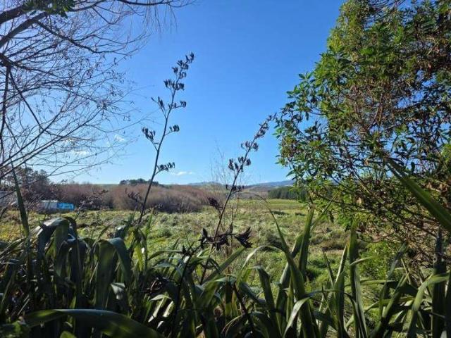House for sale in Cape Palliser, Wellington