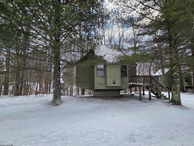 House for sale in Davis, West Virginia
