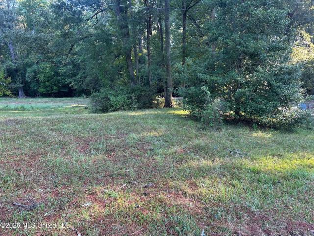 Land for sale in Natchez, Adams County