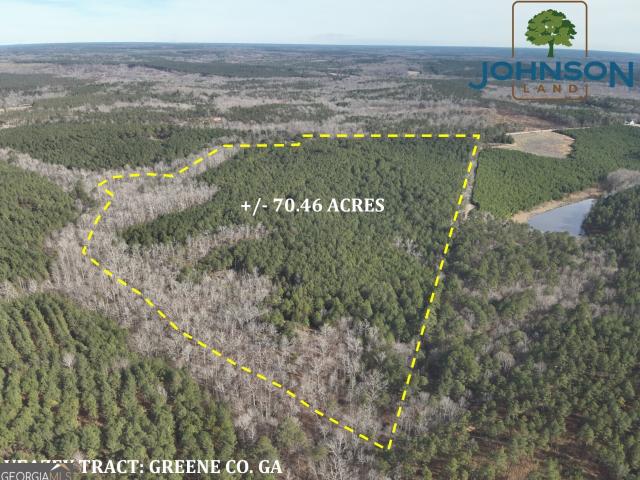 Land for sale in White Plains, Georgia