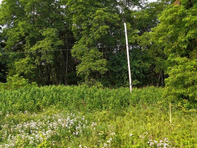 Land for sale in Michigan