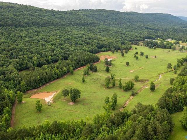 Land for sale in Etowah, Alabama