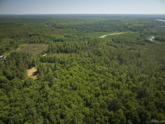Land for sale in Au Train, Michigan