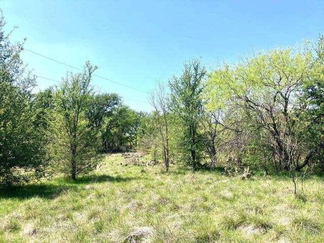 Land for sale in Comanche, Texas
