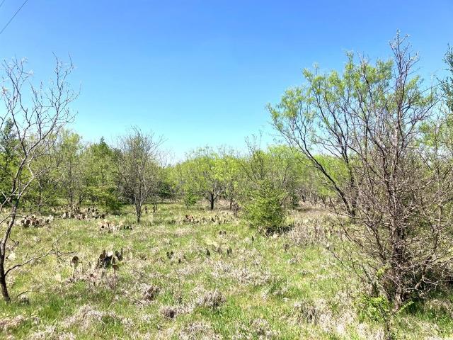 Land for sale in Comanche, Texas
