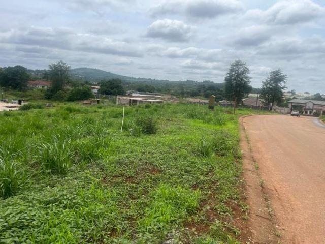 Land for sale in Mopani, Limpopo