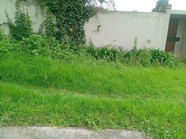 Land for sale in Johannesburg, North & Sandton