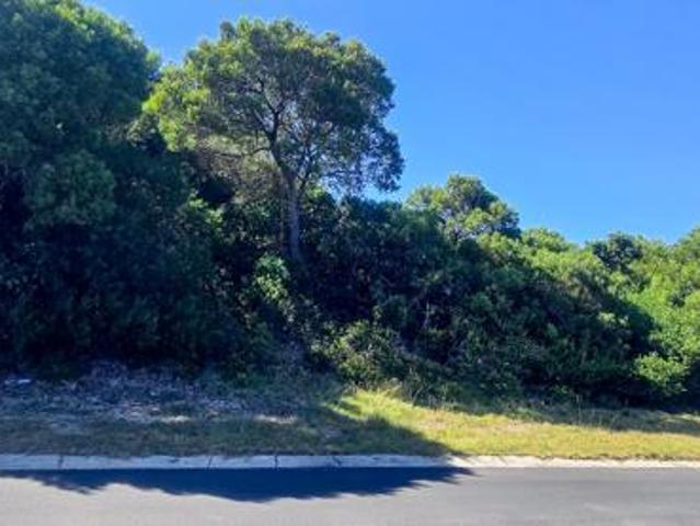 Land for sale in Cape St Francis, Eastern Cape