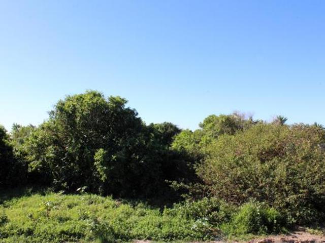 Land for sale in Bushmans River Mouth, Eastern Cape