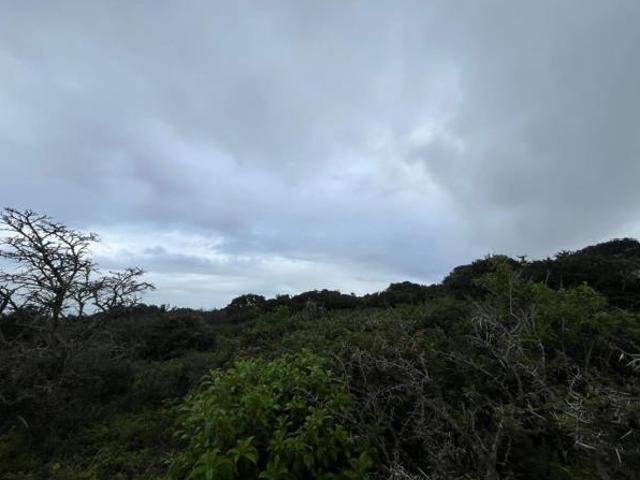 Land for sale in Bushmans River Mouth, Eastern Cape