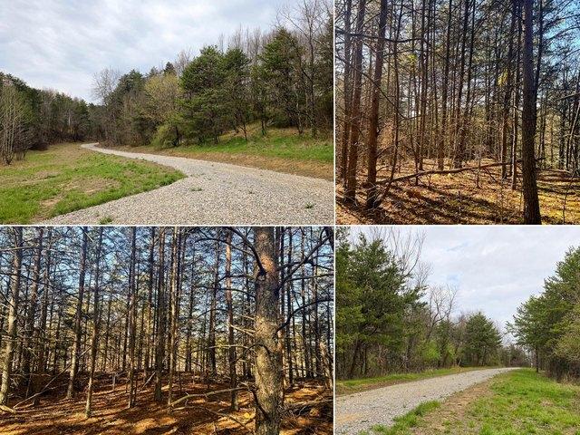 Land for sale in Gallipolis, Ohio