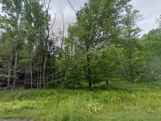 Land for sale in Claryville, New York
