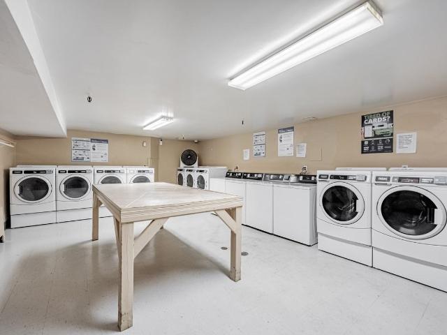 Apartment for rent in Arva, Ontario
