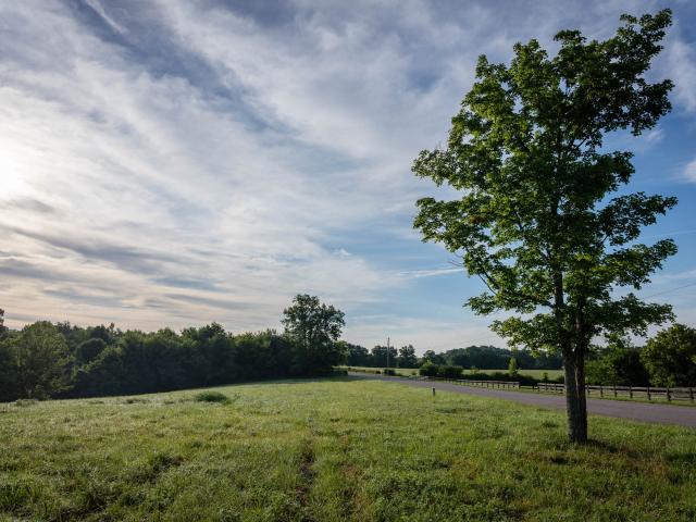 Land for sale in Tennessee