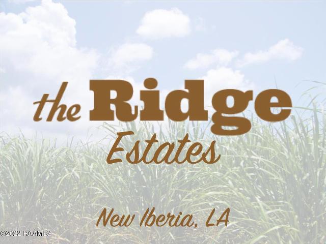 Land for sale in Iberia, Louisiana