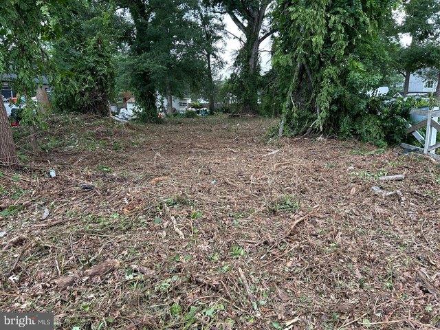 Land for sale in Virginia